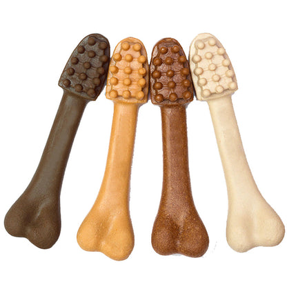 Bâtonnets à Mâcher pour Chien – Nettoyage des Dents Naturel – Lot de 10